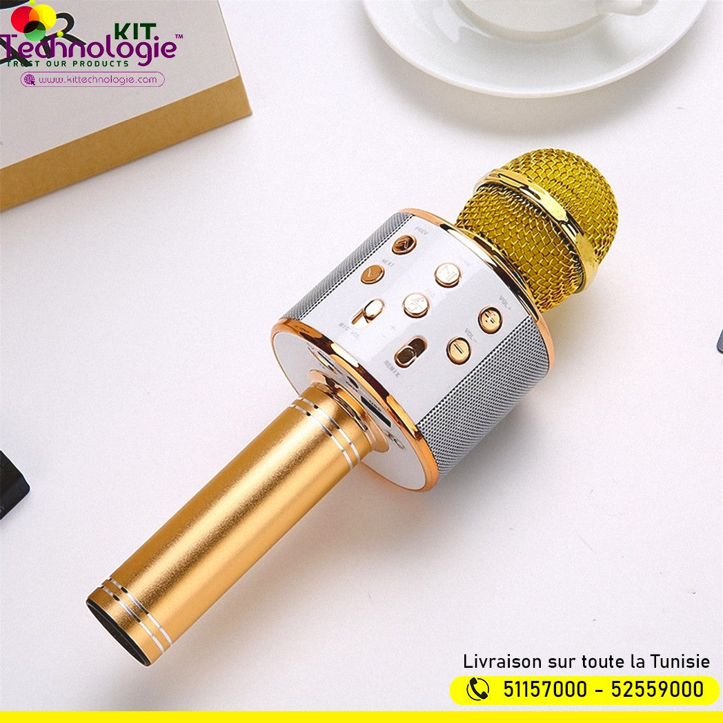 Microphone sans fil Karaoké