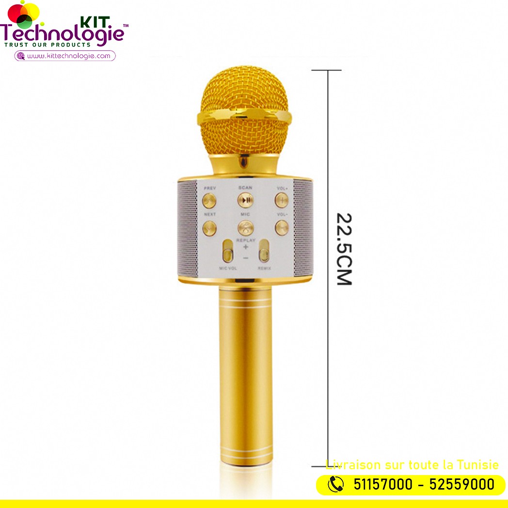 Microphone sans fil Karaoké