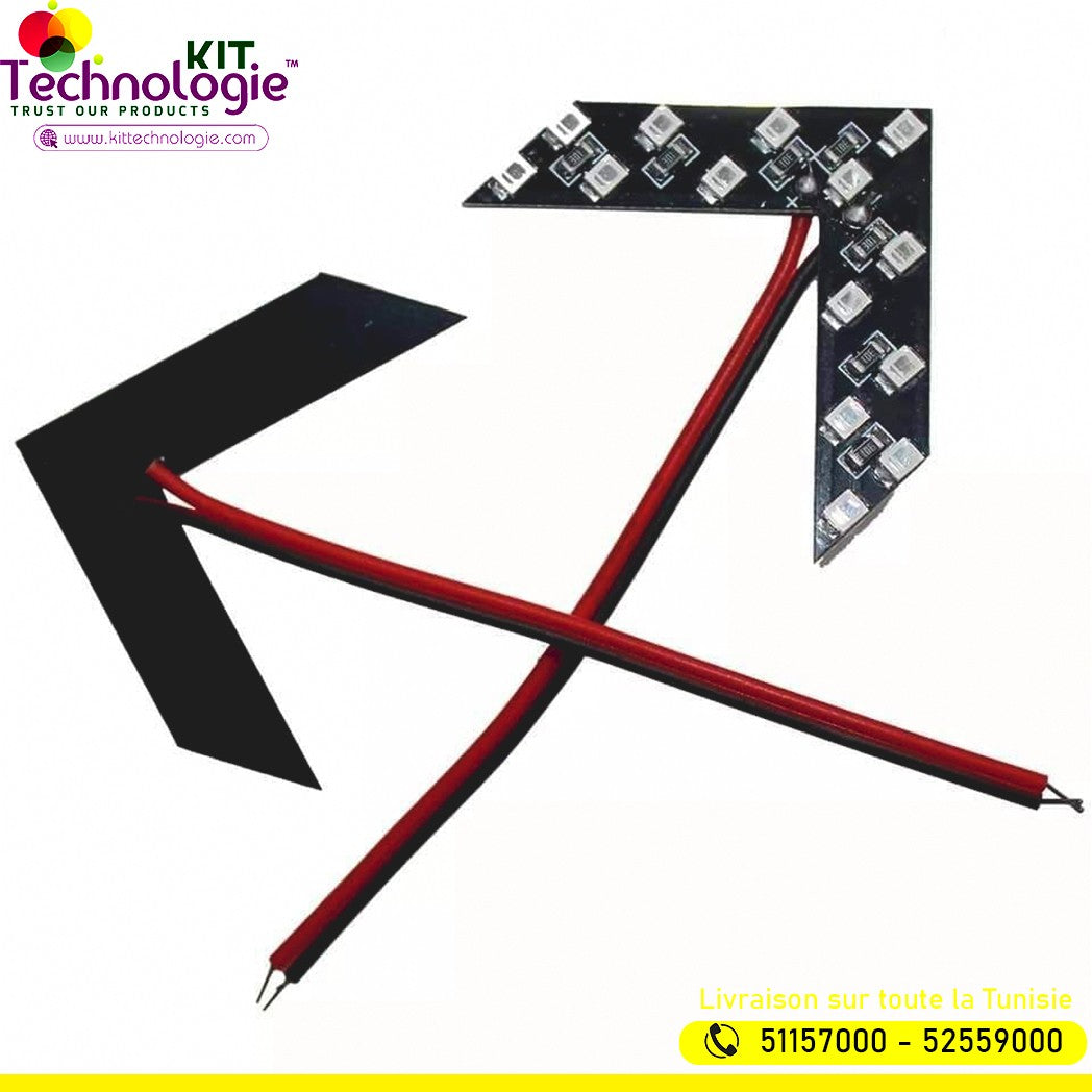 Led Flèche Rétroviseur