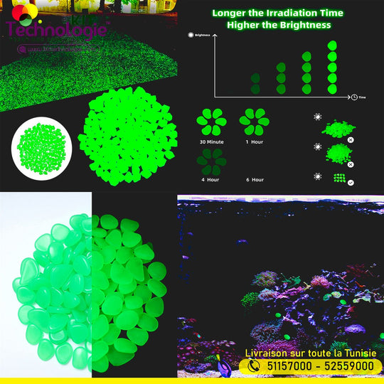 Pierres Phosphorescentes 50 pcs