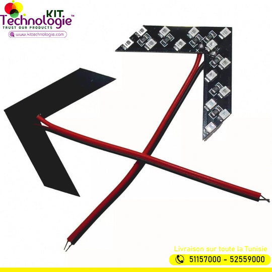 Led Flèche Rétroviseur
